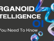 All You Need To Know About Organoid Intelligence (OI) Applications,Ethics, and FAQs 2025 Organoid Intelligence