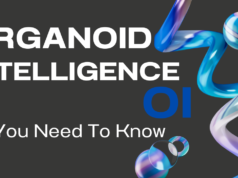 All You Need To Know About Organoid Intelligence (OI) Applications,Ethics, and FAQs 2025 Organoid Intelligence