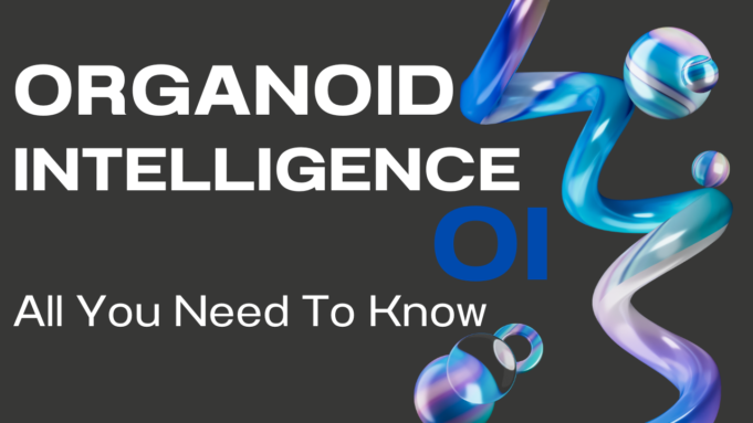 Organoid Intelligence
