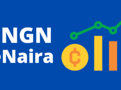 Everything You Need to Know About cNGN and eNaira CBDC (Ultimate Guide 2025) cNGN and eNaira CBDC
